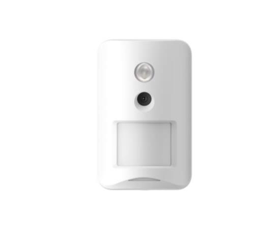 DETECTOR PIR-CAM